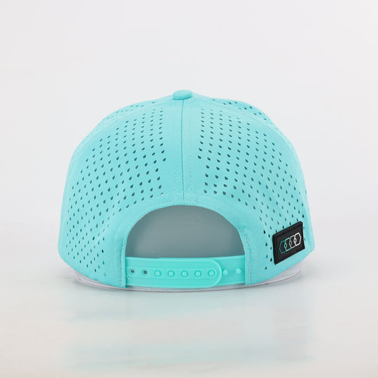 Snapback Hat V2