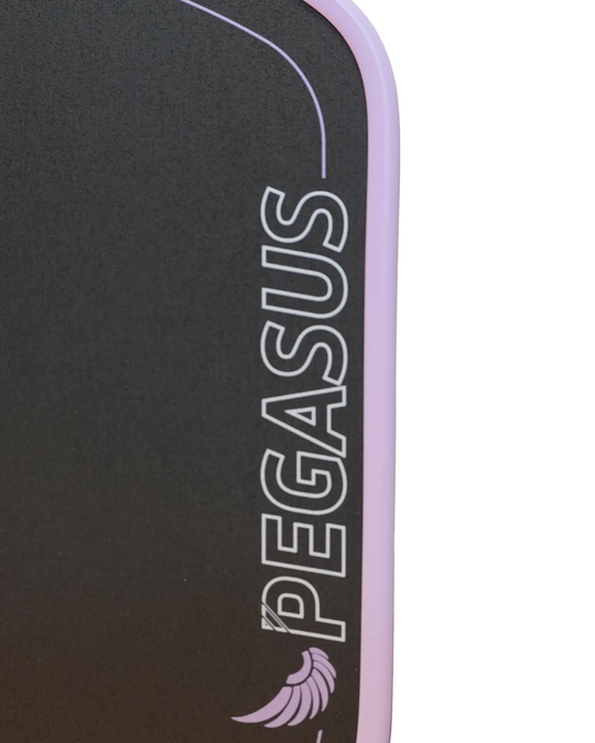Pegasus Power 2
