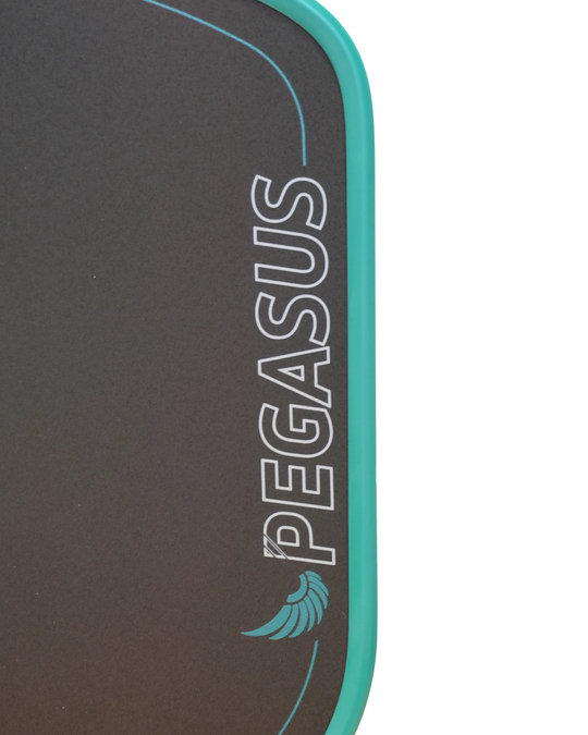Pegasus Power 2