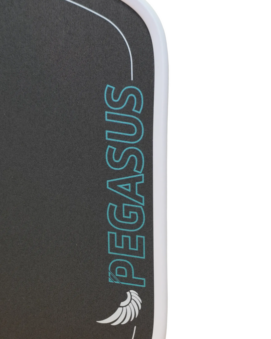 Pegasus Power 2